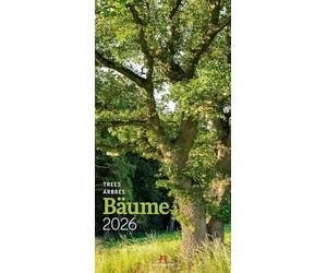 Bäume Kalender 2026: Stilsicherer Natur-Kalender im schlanken Hochformat (33x66 cm) | Laubbäume und Nadelbäume, Wälder und Alleen