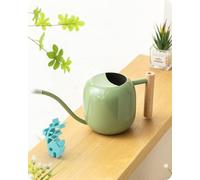 Baffect Indoor Watering Can, 1.2L/41OZ Stainless Steel House Bonsai Watering Can with Smooth Handle, Metal Garden Watering Can with Long Spout for Small Pot Plants and Flowers (Sage Green)