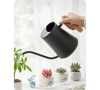 Baffect Indoor Watering Can, Stainless Steel & Wood, 1000ml, Black