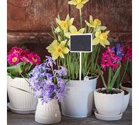 BAFOVY 10Pcs Plant Label Wood Mini Blackboard Message Board 24.5cm Long Round Rod 7.5 X 5cm for Garden Decoration Wedding Table Numbers Plant Markers and Kids Craft