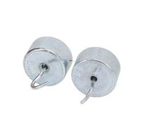 BAFOVY 2pcs 10g Lab Hook Weight Set, Chrome Plated Steel Double Hooked Weight with Storage Case, ±2% Accuracy for Physics Teaching Balance Testing Force Torsion Study