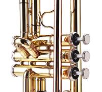 BAFOVY Beginners Brass Trumpet, Durable Brass, Elegant Appearance, Great Sound, for Young Musicians, Includes Carrying Bag and Accessories (Gold)