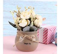 BAFOVY Ceramic Vase Artificial Flowers Decoration White Silk Rose Artificial Potted Flowers 17 X 9 X 9 Cm Non Fading Desktop Decoration for Home Office Bedroom