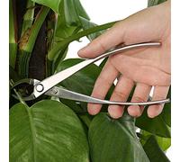 BAFOVY Stainless Steel Bonsai Branch Cutter, Premium Stainless Steel, Ergonomic Design, Rapid Healing, with Round Concave for Gardeners Ideal for Removing Branches, Protrusions, and
