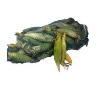 Bag of Fresh Corn on the Cob - 60 Units | Husk-On Sweetcorn | Farm-Fresh, Juicy & Naturally Sweet | Perfect for Grilling, Boiling, Roasting & Large-Scale Catering