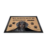 BAGEYOU All Guests Must be Approved Outdoor Doormat with My Love Dog Dachshund Welcome Floor Mat Custom Name 23.6" X 15.7"