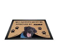BAGEYOU All Guests Must be Approved Outdoor Doormat with My Love Dog Labrador Welcome Floor Mat Custom Name 27.5" x 17.7"