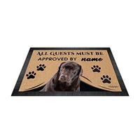 BAGEYOU All Guests Must be Approved Outdoor Doormat with My Love Dog Labrador Welcome Floor Mat Custom Name 27.5" x 17.7"