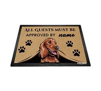 BAGEYOU Personalized Dog's Name Peeking Dog Lovely Cocker Spaniel Doormat All Guest Must Be Approved Rugs for Home Decor 27.5 x 17.7 Inch