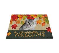 BAGEYOU Welcome Fall with My Favorite Dog American Shorthair Cat Outdoor Doormat Maple Leaf Harvest Season Rustic Decor Porch Rugs Floor Mat 27.5" x 17.7"