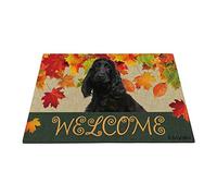 BAGEYOU Welcome Fall with My Favorite Dog Black Cocker Outdoor Doormat Maple Leaf Harvest Season Rustic Decor Porch Rugs Floor Mat 27.5" x 17.7"
