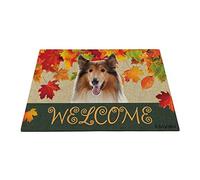 BAGEYOU Welcome Fall with My Favorite Dog Rough Collie Outdoor Doormat Maple Leaf Harvest Season Rustic Decor Porch Rugs Floor Mat 23.6" X 15.7"