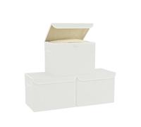 Bagnizer Small Collapsible Storage Boxes with Lids & Handles 3PCS