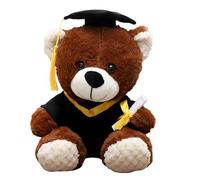 BAGUBDR Graduation Gifts For Him,25cm/9.84in Cute Graduation Bear Graduation Gifts 2025 Plush Gift Given To Her Or Him Suitable For Souvenirs For High School And College Graduates