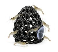 BAGUBDR Shrimp Hide, Shrimp Cave with Suction Cup, Shrimp Hides for Aquarium, Suitable for Creating Shelter Areas In Aquariums To Enhance The Habitat Diversity Of Shrimp Populations (Black
