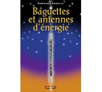 Baguettes et antennes d'énergie