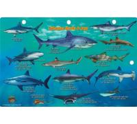 Bahamas Sharks & Rays Franko Maps Laminated Fish Card