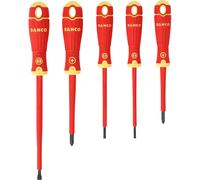 BAHCOFIT Insulated Screwdriver Set, 5 Piece