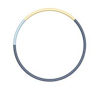 BAIAA Fitness Hula Hoop, Removable Eight Section Foam Hula Ring Can Freely Weighted Increase 1-5kg for Teenager and Adults Exercise, Lose Weight, Dance and Fitness (Yellow/Blue)