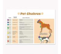 Baibexing 7 Chakras Animal Pet Infographic, Laminated Dog And Cat Chakra Poster, Animal Chakra Blockage And Healing Technique Poster Canvas Painting 30X40Cm Unframed