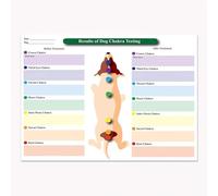 Baibexing 7 Chakras Animal Pet Infographic, Laminated Dog And Cat Chakra Poster, Animal Chakra Blockage And Healing Technique Poster Canvas Painting 40X50Cm Unframed