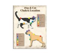 Baibexing 7 Chakras Animal Pet Infographic, Laminated Dog And Cat Chakra Poster, Animal Chakra Blockage And Healing Technique Poster Canvas Painting 21X30Cm Unframed