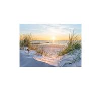 Baibexing Beach Nature Landscape Photo Canvas Print Wall Art Poster Sun Sea Plants Relaxing Picture For Living Room Home Decor A1 60X90Cm Unframed