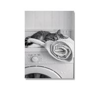 Baibexing Cute Cat In Washing Machine Poster Laundry Room Decor Picture Funny Laundry Wall Art Utility Room Print Canvas Painting 30X40Cm Unframed