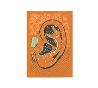 Baibexing Ear Acupuncture Print, Auricular Acupuncture, Traditional Chinese Medicine, Ear Anatomy Medical Education Poster Canvas Print A4 21X30Cm Unframed