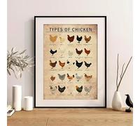 Baibexing Educational Chickens Breeds Chart Of Types Brown Poster Wall Art Canvas Painting Print Pictures Living Room Home Farm Decor 40X50Cm Unframed