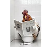 Baibexing Funny Bathroom Animal Chicken Sitting On Toilet Reading Newspaper Poster Print Wall Art Picture Canvas Painting Wall Decor 40X50Cm Unframed