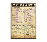 Baibexing Neurology Knowledge, Neuroscience, Neurology Art, Cerebral Cortex Vintage Poster Print Canvas Painting Wall Art Picture 30X40Cm Unframed