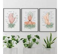 Baibexing Reflexology Infographics, Reflexology, Art Of Acupuncture, Massage Therapist Poster Canvas Painting Face Mapping, Spa Decoration 21X30Cmx3Pcs Unframed