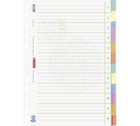 Baier Schneider File Index File Page dividers &Environment, Recycled Cardboard,