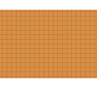 Baier & Schneider karteikarton Cards 180 g/m², Squared A7 Landscape (Orange)