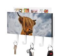 BAIKUTOUAN Highland Cow in The Scottish Highlands Wall Mounted Key Hook Mail Holder Organizer Rack with 5 Hooks Entryway Kitchen Decoration, White-style1,One size