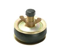 Bailey BAI1960 1960 4-Inch Drain Test Plug Plastic Cap, Brass