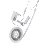 Bailey Ecobasic Light Hose/BAnd - 141962