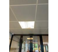 Bailey LED PL 2G11 24W 4000K Professional Lamp - 80100038477