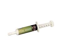 Baileys Foal Assist Syringe - 30cc