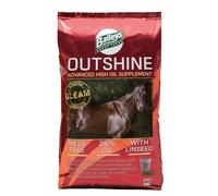 Baileys Outshine Spearmint - Treats for Horses - Size: 20kg
