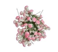 Bailinks 60 Pcs 2cm Mini Foam Mushrooms Miniature Ornaments for Fairy Garden Bonsai Flower Pot Micro Landscape Decorations Mixed Color Craft Decor (Pink)