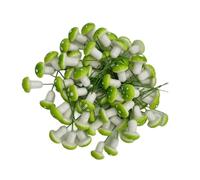 Bailinks 60 Pcs 2cm Mini Foam Mushrooms Miniature Ornaments for Fairy Garden Bonsai Flower Pot Micro Landscape Decorations Mixed Color Craft Decor (Green)
