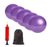 BAIMAN Mini Pilates Exercise Yoga Ball, 6 Inch Small Inflatable Exercise Yoga Ball,Core Training and Physical Therapy Equipment with Pump(5 PCS Purple)