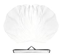 Baisdan 55" * 55" Worship Flags for Dance Church, Praise Dance Flags, Consuming Fire Flag with Flexible Rods & Carrying Bag White