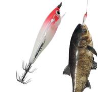 Bait for Perch, Realistic Floating Baits Fluorescent in the Dark - Portable Equipment Box for Dad Son Husband Grandpa Friends Uncle Father Boyfriend and