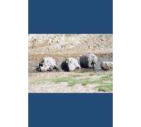 B'ajlom ii Nkotz'i'j Publications' A Concise Luo Grammar