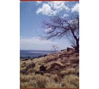 B'ajlom ii Nkotz'i'j Publications' English - Corsican Dictionary