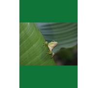 B'ajlom ii Nkotz'i'j Publications' Guaymí Phrasebook: Ideal for Traveling to Panama