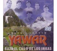 Bajo El Cielo De Los Inkas